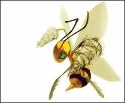 Et quel(s) est(sont) son(ses) type(s) ?