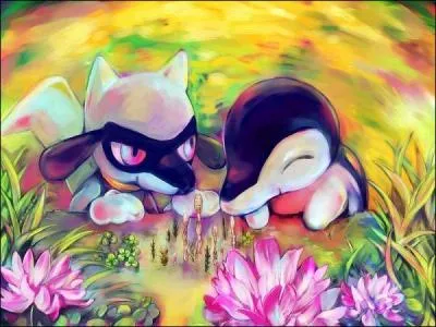 Comment se nomment ces deux Pokmon ?