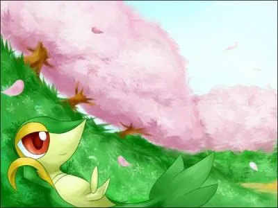 Quel Pokmon est cach dans ce paysage ?