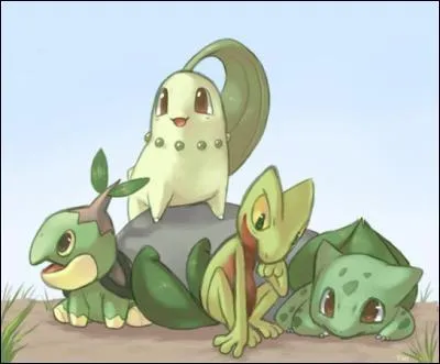 Quel est le point commun de ces quatre Pokmon ?