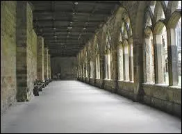 Quel sortilge permet d'annuler le sortilge Sonorus ?