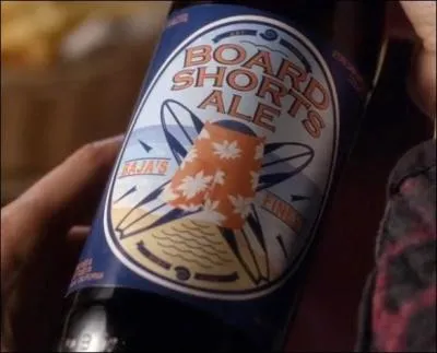 Qui est Board Shorts ?