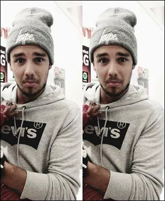 Quelle est la phobie de Liam Payne ?