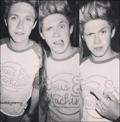 Quel est le nom complet de Niall ?