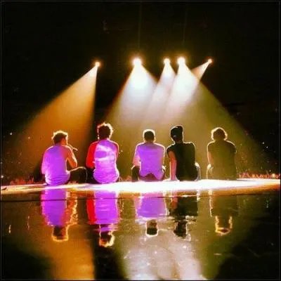 Qui a auditionn deux fois  X Factor ?