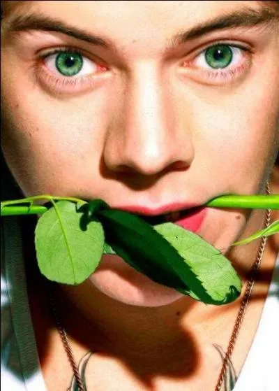 Qu'a chant Harry  X Factor ?