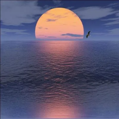 Quel serait, d'après vous, le sens du vocable "occase" ?