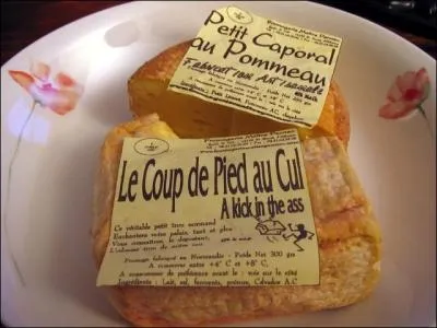 A vue de pied, sentez-vous ce qu'est un "odomètre" ?