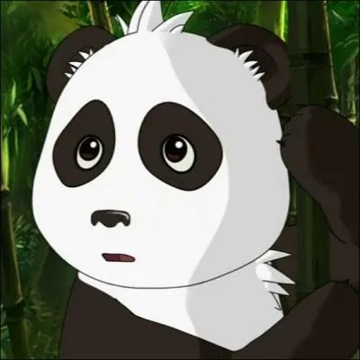 Qui est le propritaire de ce panda ?