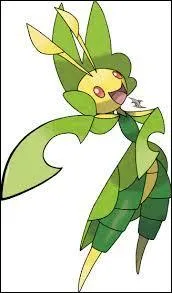 Et quel(s) est(sont) son(ses) type(s) ?