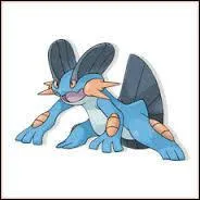 De quelle version est-il ?