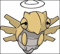 Et quel(s) est(sont) son(ses) type(s) ?