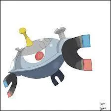 Et quel(s) est(sont) son(ses) type(s) ?