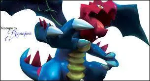 Et quel(s) est(sont) son(ses) type(s) ?