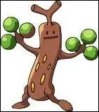 De quelle version est-il ?