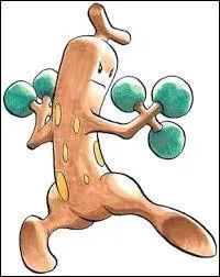 Et quel(s) est(sont) son(ses) type(s) ?