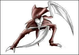 Et quel(s) est(sont) son(ses) type(s) ?