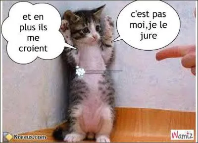 Avez-vous rencontr quelques mystificateurs ? Que vous ont-ils dit ?