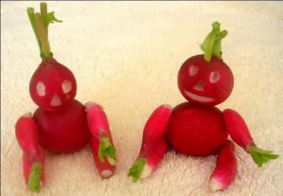 Quand les radis ne sont pas ces délicieux petits légumes-racines que l'on se plaît à consommer à la croque-au-sel, que sont-ils ?