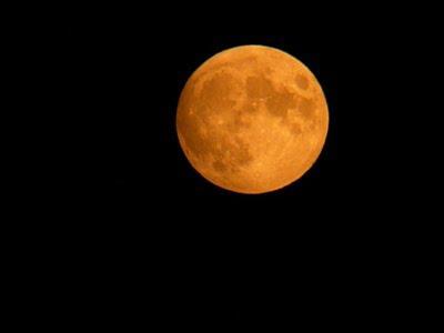 Quelle est la signification de l'expression :  La lune rousse  ?