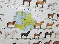 Quelle est la premire rgion quine de France ?