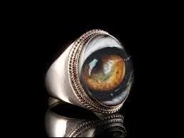 Quel animal correspond à ces deux images ?