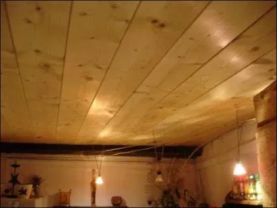 Je m'appelle  Abigaille , je grimpe aux murs, et je m'accroche au plafond. Qui suis-je ?