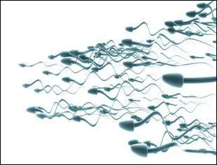 Qu'est-ce que  l'azoospermie chez l'homme ?