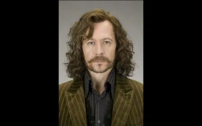 Comment s'appelle le parrain de Harry Potter ?