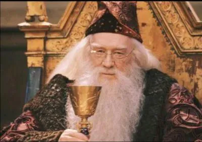 O est la tombe de Dumbledore ?