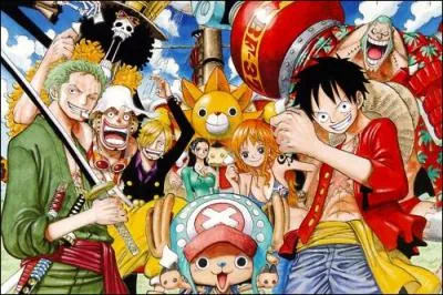 Quel est le nom du navire de : Monkey D Luffy ?