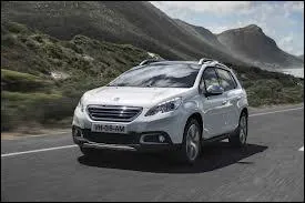 Quel est le nom de cette voiture de chez Peugeot ?