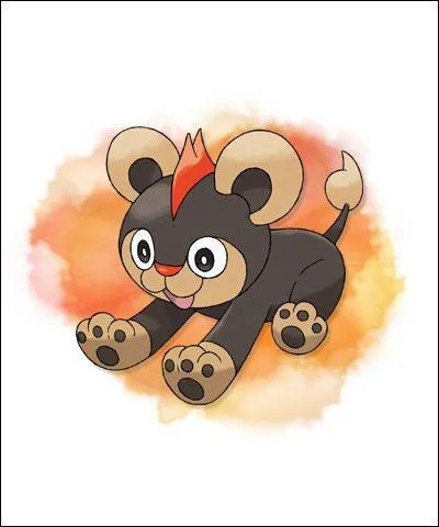 Comment s'appelle ce lionceau ?