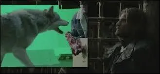 Comment dit-on  effets spciaux  en anglais ?