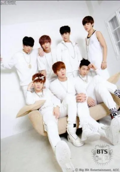 Ils ont galement eu leur propre mission de varit de huit pisodes. Comment s'appelait-elle ?