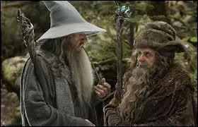 Qui est  ct de Gandalf ?
