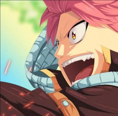 Sur quelle partie de son corps Natsu a-t-il une cicatrice ?