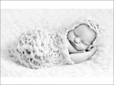 Emplumé des marécages !