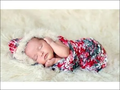 Bigorneau ou vignot !