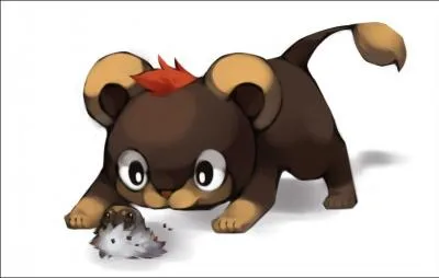 Hélionceau est en train d'observer un Pokémon. De qui s'agit-il ?