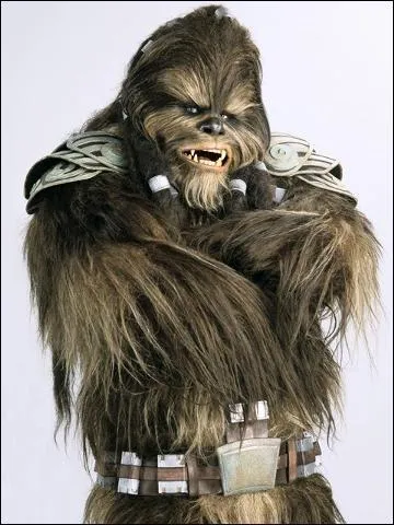 Qui est ce Wookie ?