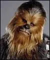 Lesquels de ces Wookies sont des amis de Chewbacca ?