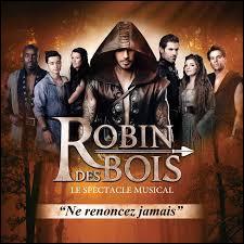 Dans "Robin des Rois", quel rôle M Pokora joue-t-il ?