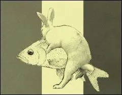 Voilà des noces et des chevauchées étranges que celles de la carpe et du lapin ! Que cela signifie-t-il ?