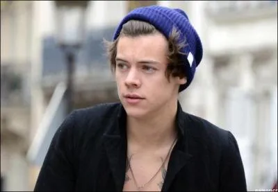 Où travaillait-il partiellement avant d'être célèbre ?