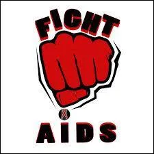 En 2006, afin de venir en aide à une association qui soutient les malades du sida, un collectif de chanteurs Fight Aids a sorti ''L'OR de nos vies'' , une chanson créée par un groupe qui avait connu le succès avec ''Le Chemin'' et ''Dernière danse'' . Quel est ce groupe ?