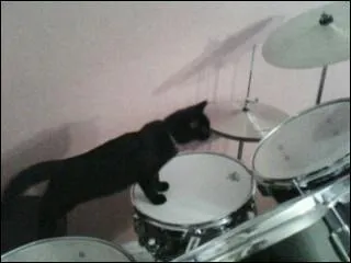 Quelle expression n'est pas la bonne ?