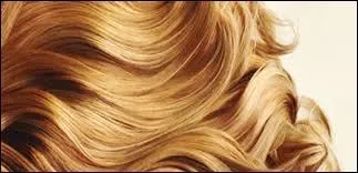 Quelle expression n'est pas la bonne ?