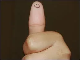 Quelle expression n'est pas la bonne ?