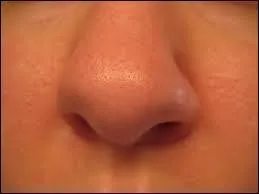 Quelle expression n'est pas la bonne ?